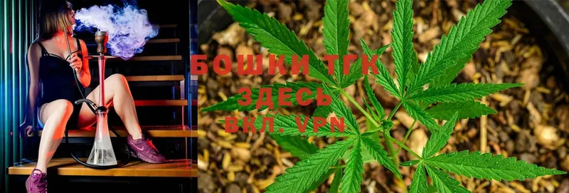 Конопля SATIVA & INDICA  наркошоп  Кольчугино 